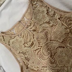 Adrianna Papell cocktail dresses